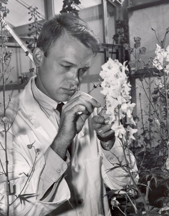 a historical photo of a person in a lab coat and studying an orchid 