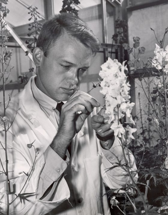 a historical photo of a person in a lab coat and studying an orchid