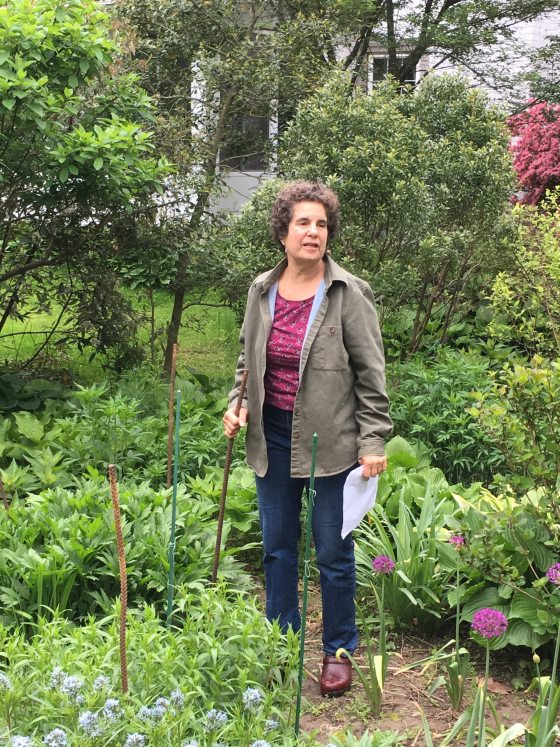a person in a garden bed