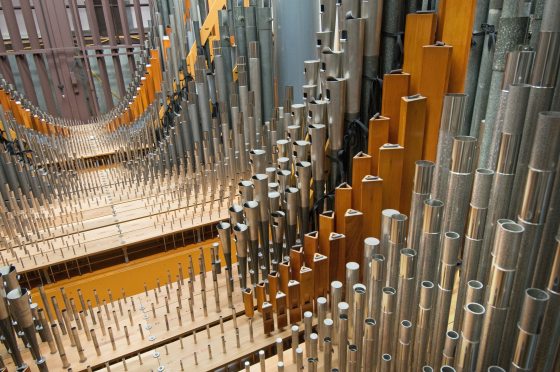 Close up of choir pipes in the Longwood organ