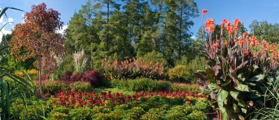 Multiple flower beds of colorful flowers in red, pink, and yellow along the Flower Garden Walk at Longwood Gardens