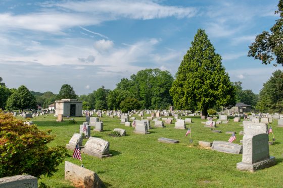 image of a cemetery with bright green grass and blue skies