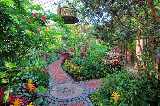 A brick path leads through lush green plant beds and tress growing over in a glass conservatory
