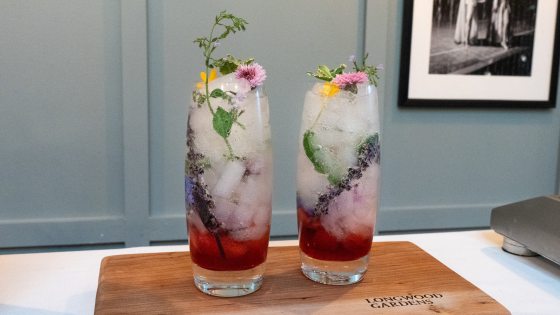 two tall glasses of drinks with herbal flowers