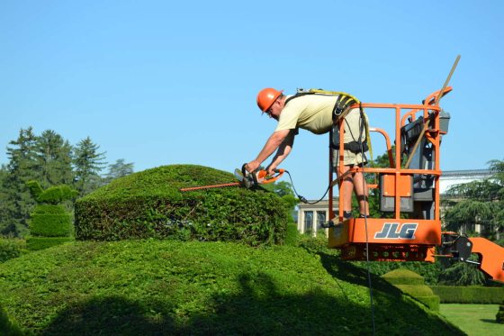 person in an orange lift trimming topiary