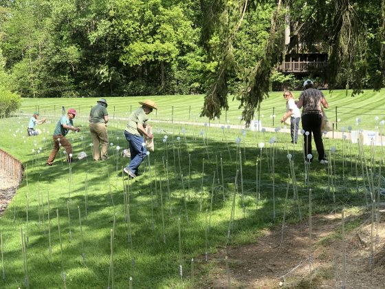 people installing lights in a field