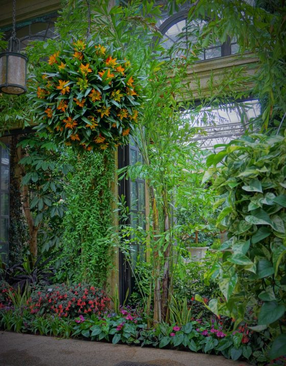 tall palms that reach the ceiling and a planted basket of orange flowers hanging