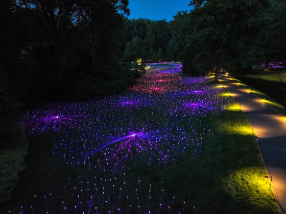 aerial image of a field of small lights