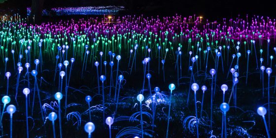 a field of orbs of light in blues, greens, violets
