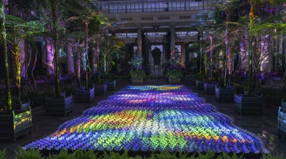 thousands of cds on a floor with colored lights reflecting off of them