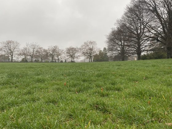 view of a grassy lawn with foggy sky in the background