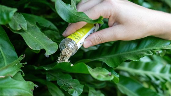 a hand sprinkling a container of insects onto a green leaf