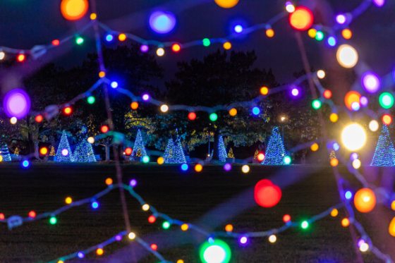 Red, green, blue, and yellow lights dazzle. Holiday trees decked in blue lights can be seen in the background.