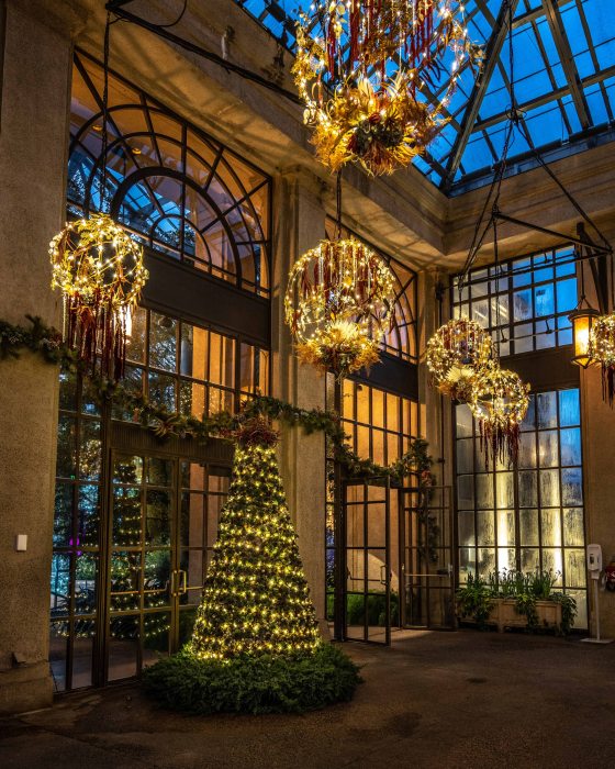 a nighttime shot of a tree made of succulents with white lit hanging baskets above it