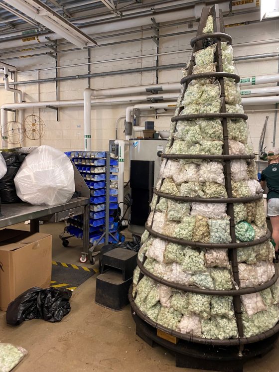 a tree form containing packing peanuts on the inside awaiting plant materials