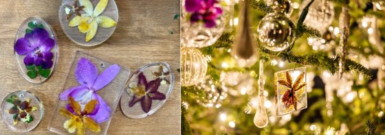 hand pressed flower ornaments hanging on a tree