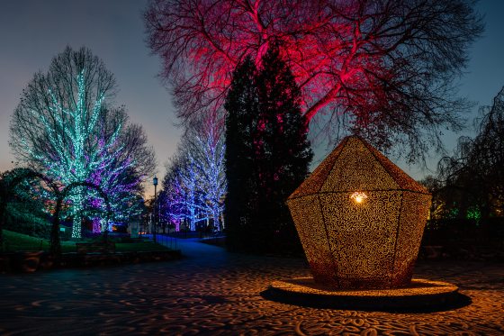 a large lantern casting light in a pattern on the ground with trees in the background lit up with Christmas lights