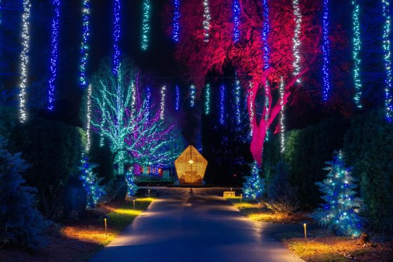 A large lantern glows at Longwood Gardens at night and is surrounded by blue icicle lights