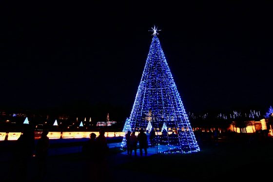 an illuminated walk-through tree in blue lights with a silver star