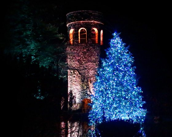 a blue lit christmas tree in front of our chimes tower at night
