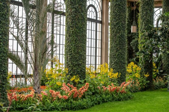 Large windows in the conservatory bring light to the orange and yellow indoor plants