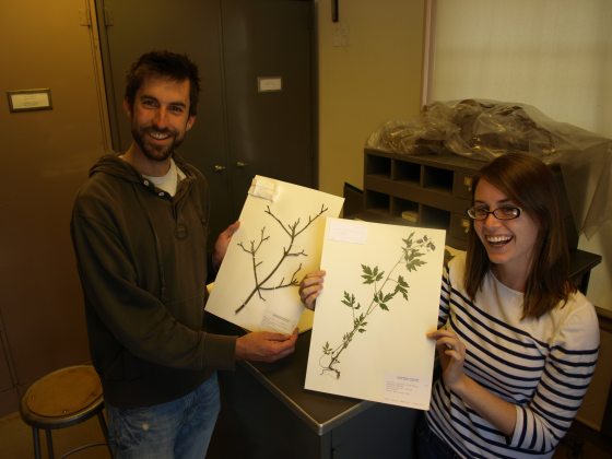 two people each holding a botanical print poster