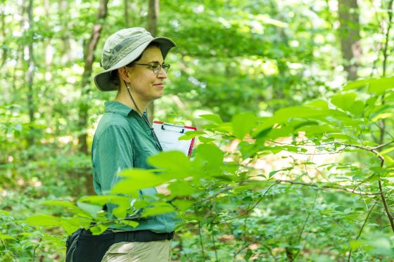 a person with a green hat, green shirt and a red clipboard standing in a forest