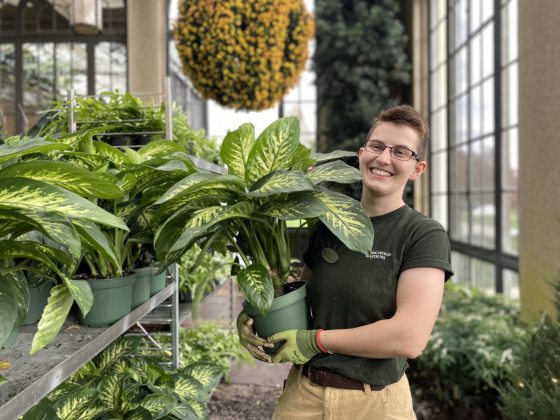 a person holding a green potted plant smiling at the camera