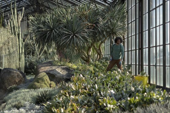 a person working with a cactus garden inside a conservatory