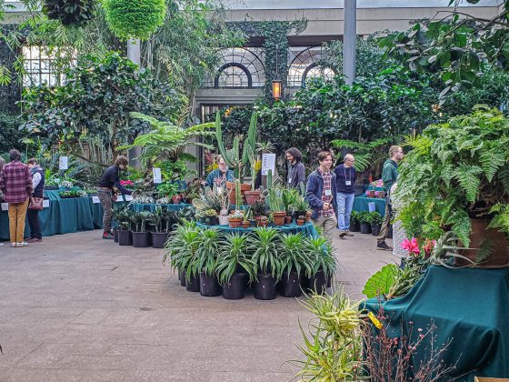 a plant sale taking place inside a large conservatory