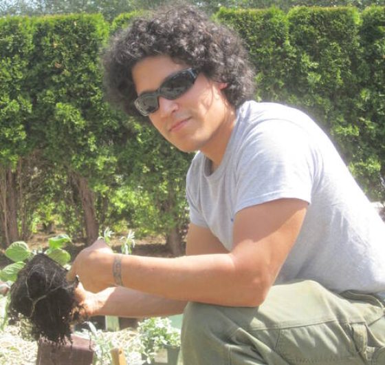 A man with dark curly hair in a grey t-shirt holds a plant as he prepares to put it in a garden.
