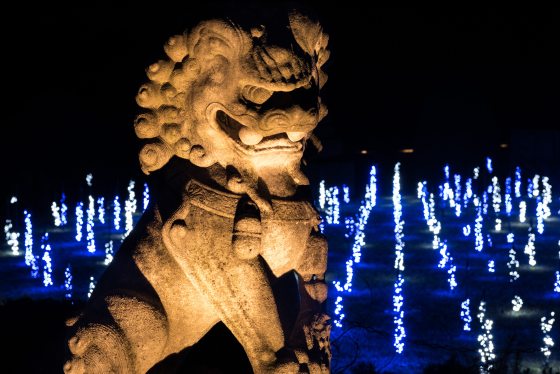 a foo dog statue uplit at night with blue Christmas lights on the ground behind the statue