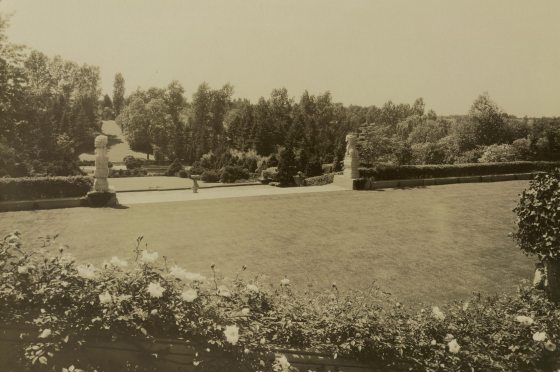 a sepia tone image of two stone lions outside of a rose garden