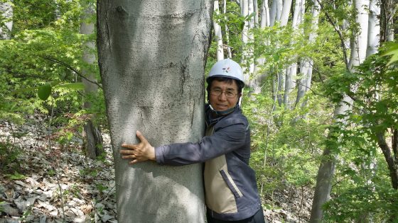 A person in a white safety hat hugging the trunk of a tree.