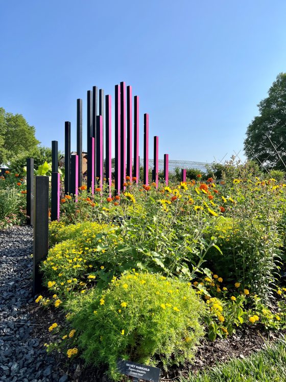 A garden bed filled with summer plantings and pink posts in a variety of heights at the center of the bed.