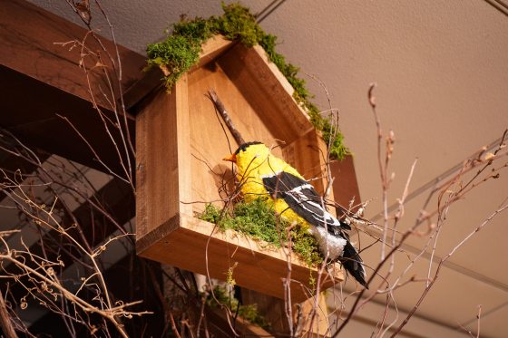 A wood birdhouse with a faux yellow and black bird perched on the front.