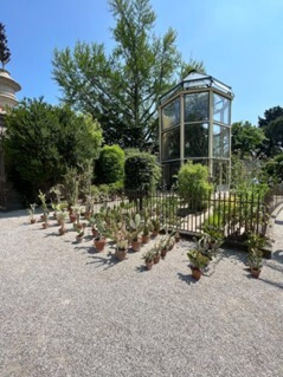 A small octagonal greenhouse in Italy.