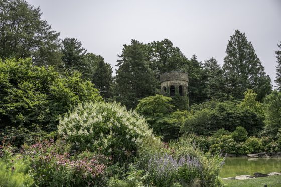 A lush garden in summer time with a tall stone tower in the background among large trees.