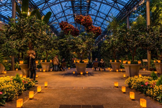 An indoor plant conservatory with luminaries lit along the pathways.