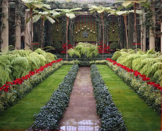 The fern floor at Longwood Gardens decorated with ivy and poinsettia's at Christmas.