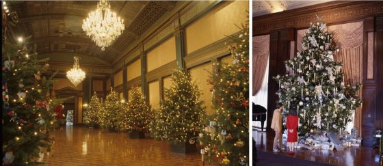 Two images, one showing the Ballroom at Longwood Gardens displaying decorated Christmas tree and the other two people admiring a tall decorated tree in the Music room.