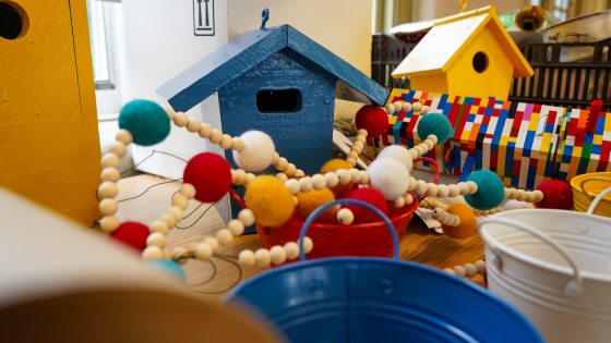 A blue birdhouse surrounded by felt balls and legos.