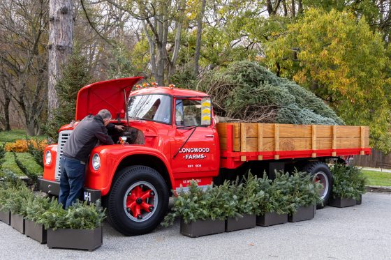 A person working on the engine of a red pickup truck with evergreen trees in the truck bed.