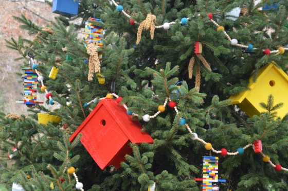A red and yellow bird house hanging on a decorated tree. 