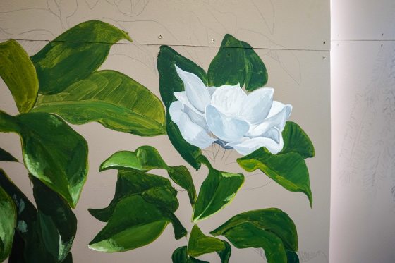 A painting of  a large white magnolia flower.