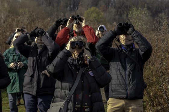 A group of people all looking at the ski with binoculars in a brown winter landscape.