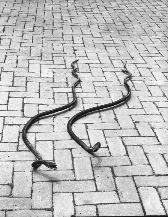Two black iron snakes on brick in a black and white photo.