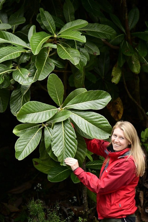 A person in a red jacket standing next to a large rhododendron.