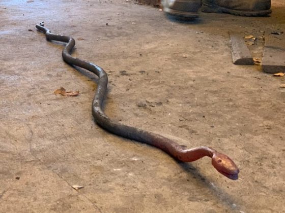 A black iron snake on a brown floor.