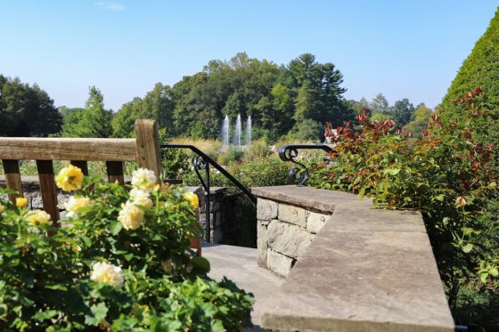 The rose garden at Longwood in summertime with three fountains in the bckground.